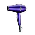 ASCIUGACAPELLI DPM KS903 MOTORE AC LIBERTY