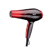ASCIUGACAPELLI DPM 39752 1800 WATT HOT SHOT
